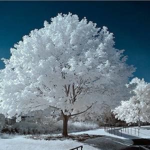 Meet your Posher, Anne